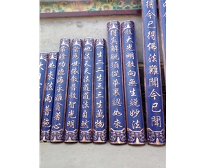 贴金抱对